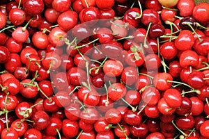 Sweet Cherry