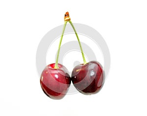 Sweet cherry.