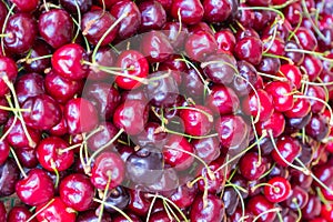 Sweet cherry background