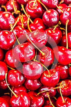 Sweet cherry background