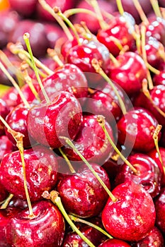 Sweet cherry background