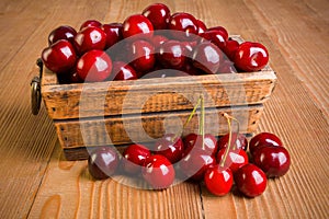 Sweet cherry berries (Prunus avium) in wooden box