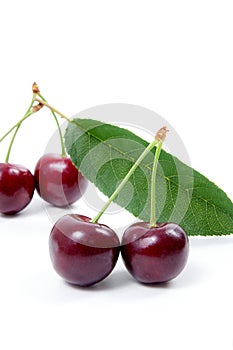 Sweet cherry isolated on a white background.