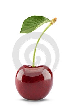 Sweet cherry isolated on white