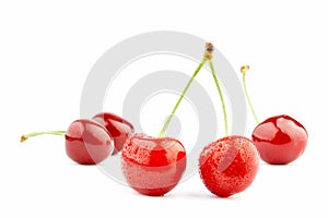 Sweet Cherry isolated on white. XXL