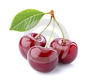 Sweet cherry with leaves