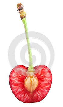 Sweet cherry with petiole photo