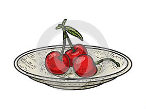 sweet cherry on saucer color sketch raster
