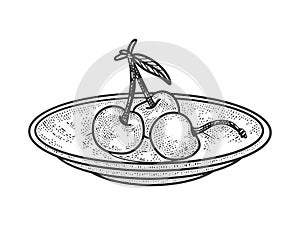 Sweet cherry on saucer sketch vector illustration