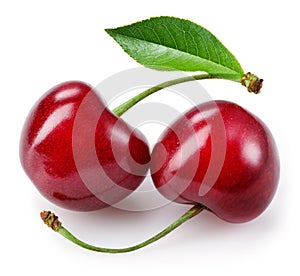 Sweet cherry. Two berries isolated on white