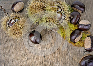 Sweet chesnuts and shell on a plank