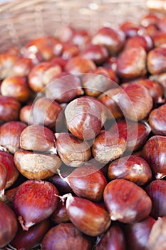 Sweet chestnuts - marron in basket