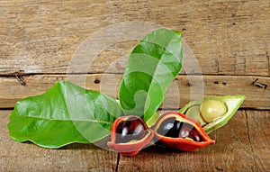 Sweet chestnuts (Sterculia monosperma) on wooden background