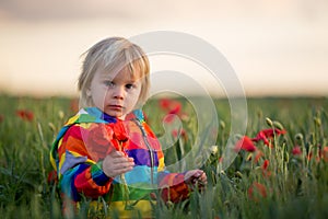 Sweet child, blond boy, playing in poppy field on a partly cloudy day, dramatic sky