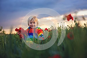 Sweet child, blond boy, playing in poppy field on a partly cloudy day, dramatic sky