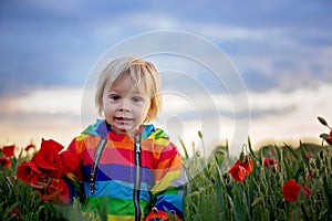 Sweet child, blond boy, playing in poppy field on a partly cloudy day, dramatic sky