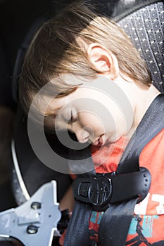 Sweet Child In His Safety Car Seat