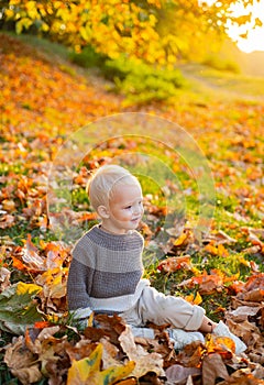 Sweet childhood memories. Child autumn leaves background. Warm moments of autumn. Toddler boy blue eyes enjoy autumn