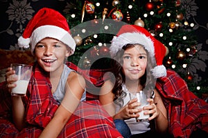 Sweet children drinking milk