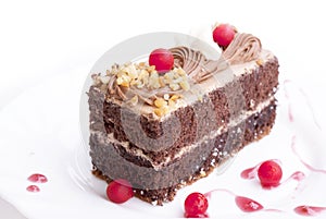 Sweet chocolate biscuit