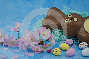 Sweet chocolate Easter  rabbit on blue  background