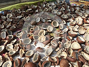 Sweet Coconut shells cut into half kept in direct sun light for dry process so that Coconut oil manufacturing step