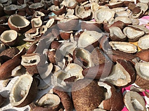 Sweet Coconut shells cut into half kept in direct sun light for dry process so that Coconut oil manufacturing step