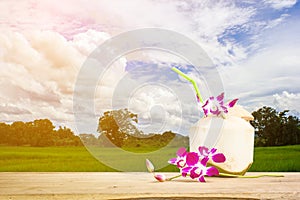 Sweet coconuts water with drinking straw and orchid flower on wooden table. Coconut tropical fruit with green field