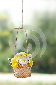 Sweet color flowers in wooden basket hanging in garden