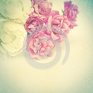 Sweet color roses on mulberry paper texture