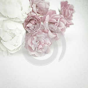 Sweet color roses on mulberry paper texture