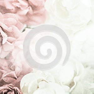 Sweet color roses on mulberry paper texture