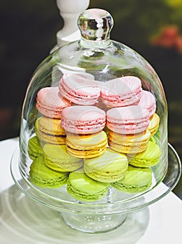 Sweet and colourful french macaroons or macaron in a glass bell jar or glass tray on a white wooden table. Dessert. Can be used fo