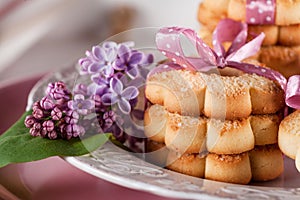 Sweet cookies with pink ribbon and lilac flowers