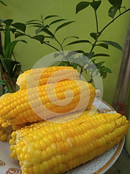 Sweet corn