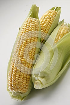 Sweet corn