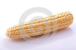 Sweet corn