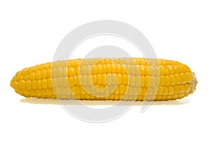 Sweet corn