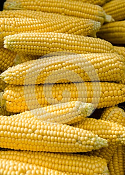 Sweet corn