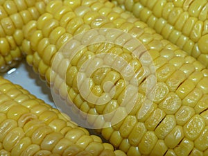 Sweet corn - an annual herbaceous cultivated plant. Corn was introduced into cultivation 7-12 thousand years ago in the territory