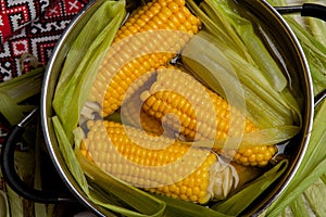 Sweet corn boil with salt. cooked sweet corn in pot on wooden table.