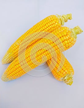 Sweet corn on the cob yellow maize cobs whole ear-maize ear-corn sweetcorns zea mays makka bhutta maiz milho mais photo photo