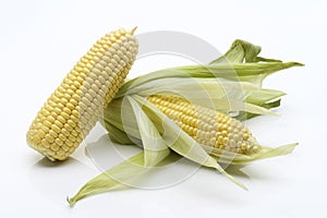 Sweet Corn Cobs