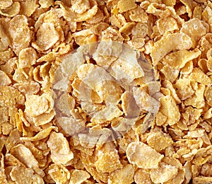 Sweet corn flakes background