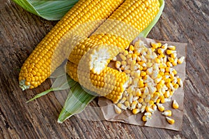 Sweet corn grains, ripe ears of corn, isolated on old wooden tab