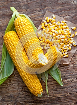 Sweet corn grains with tasty, ripe ears of corn, isolated on old