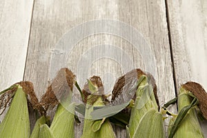 Sweet corn in the husk on a rustic table