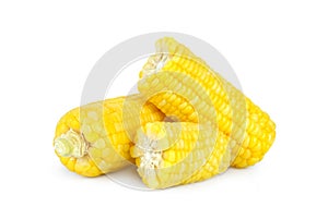 sweet corn isolated on white