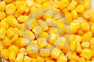 Sweet corn kernels arranged