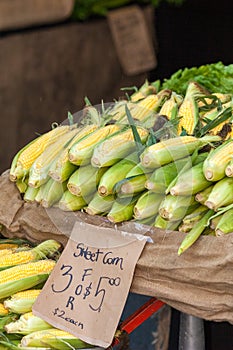 Sweet corn at the markets